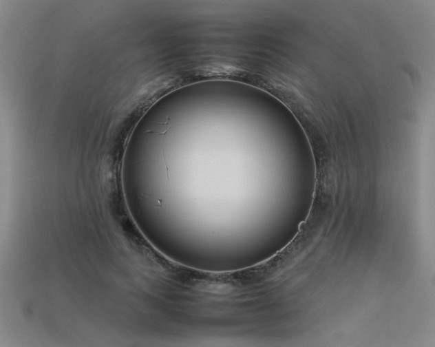 X0000113620743200909181439