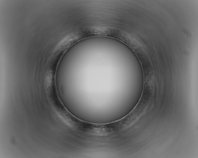 X0000113620744200909181439