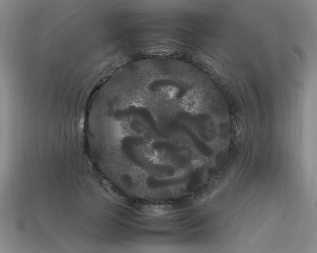 X0000113620745200909181439