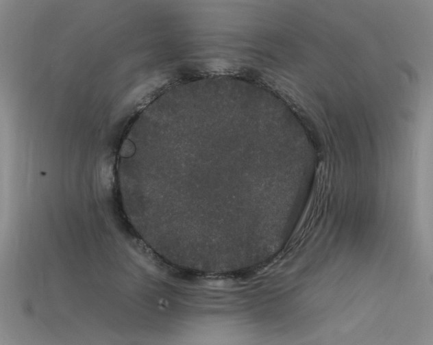 X0000113620746200909181439