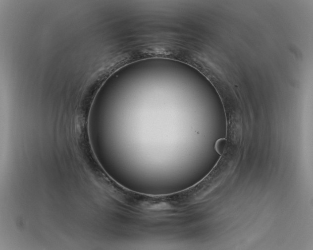 X0000113620747200909181439