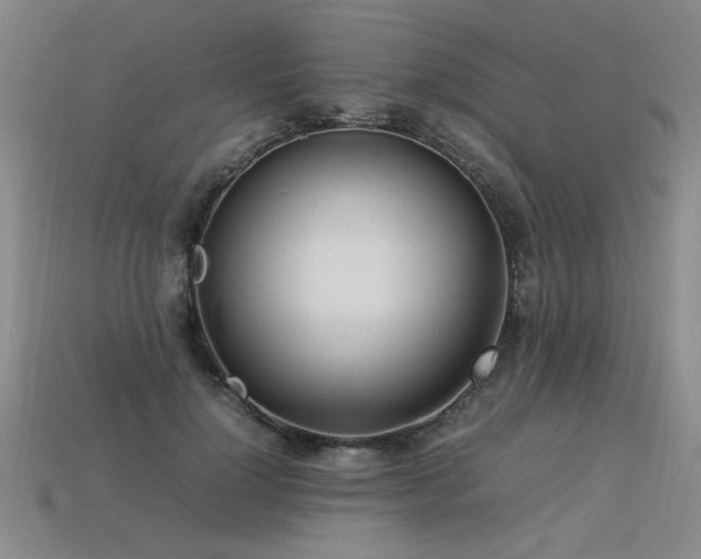 X0000113620748200909181439