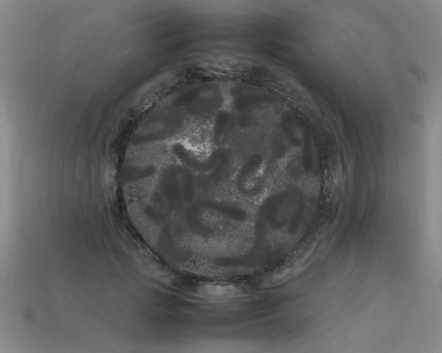 X0000113620749200909181439