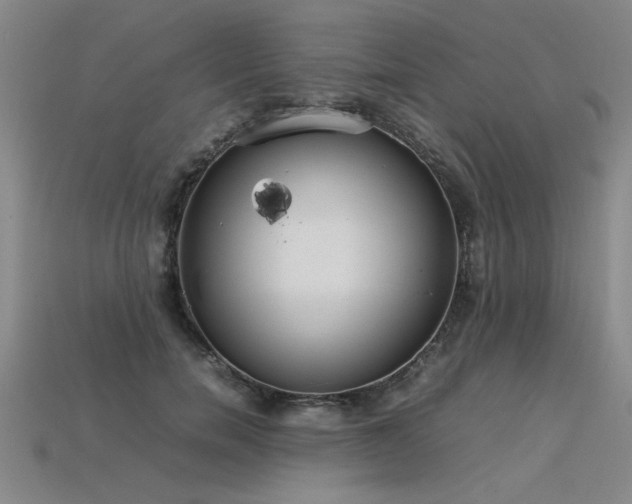 X0000113620750200909181439