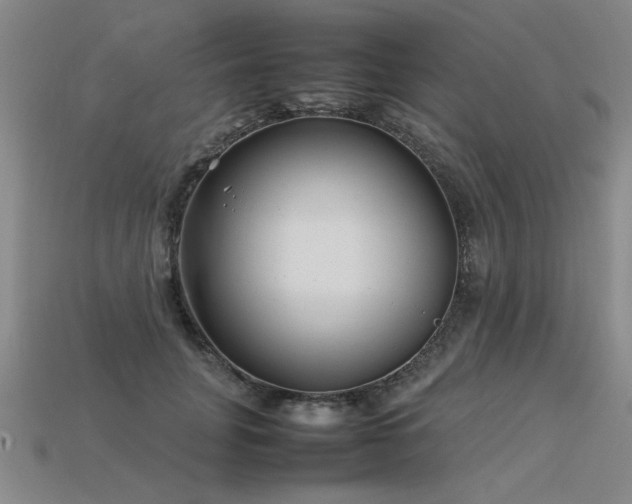 X0000113620751200909181439