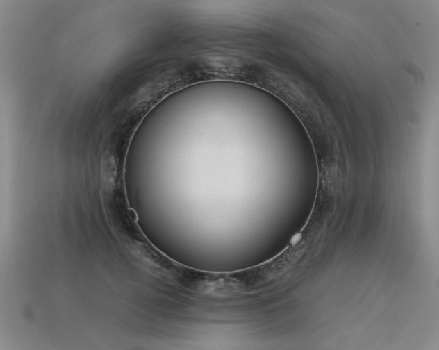 X0000113620752200909181439