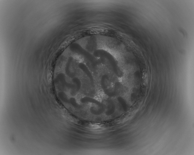 X0000113620753200909181439