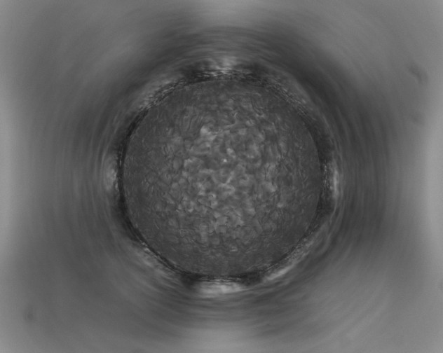 X0000113620754200909181439