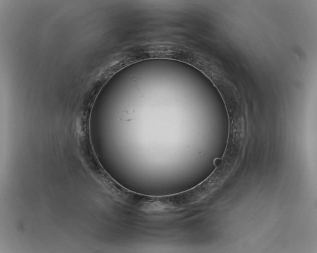 X0000113620755200909181439