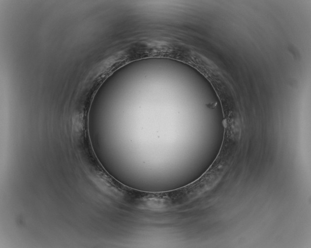 X0000113620756200909181439