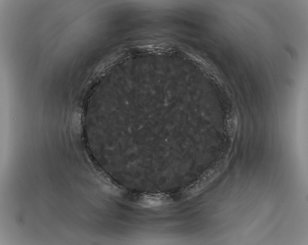 X0000113620757200909181439