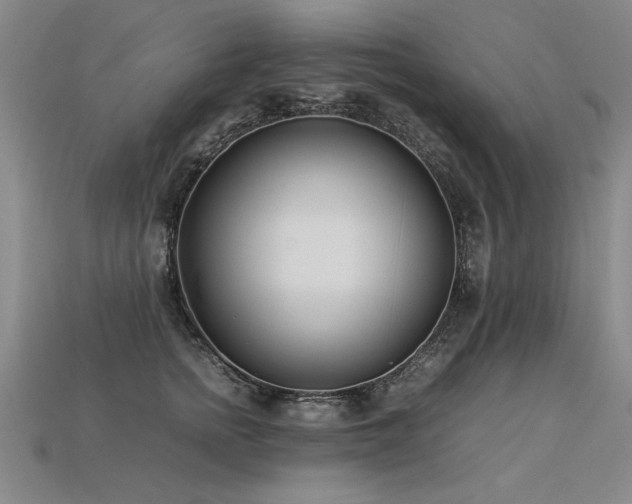 X0000113620758200909181439