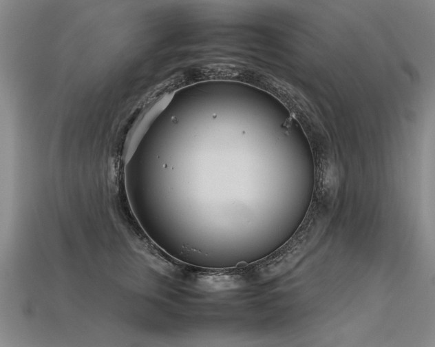 X0000113620759200909181439