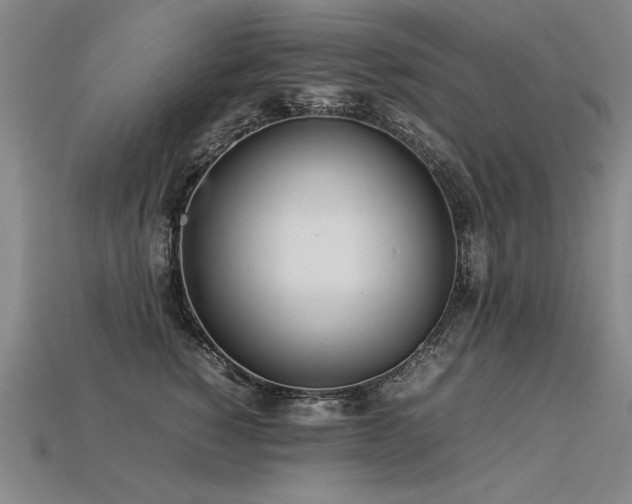 X0000113620760200909181439