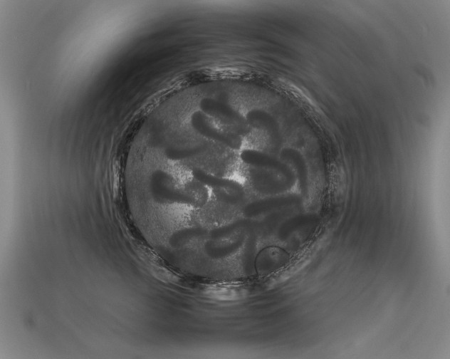 X0000113620761200909181439