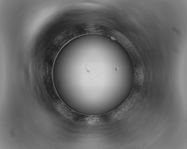 X0000113620762200909181439