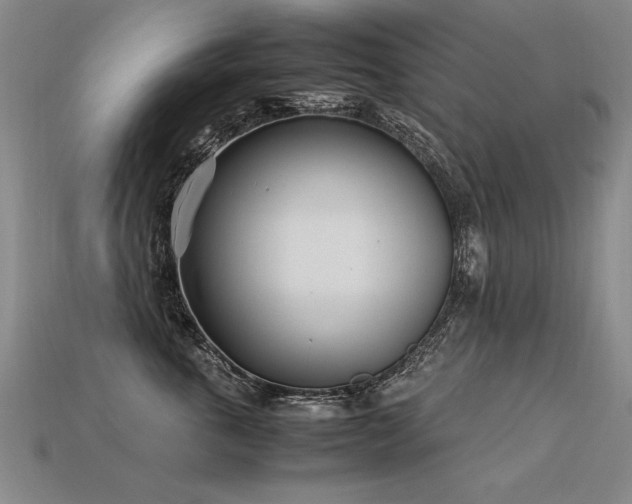 X0000113620763200909181439