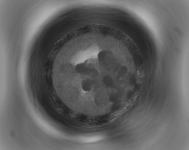 X0000113620765200909181439