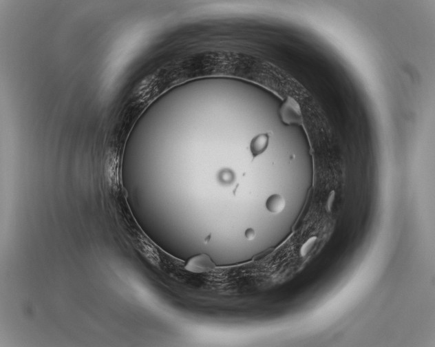 X0000113620766200909181439