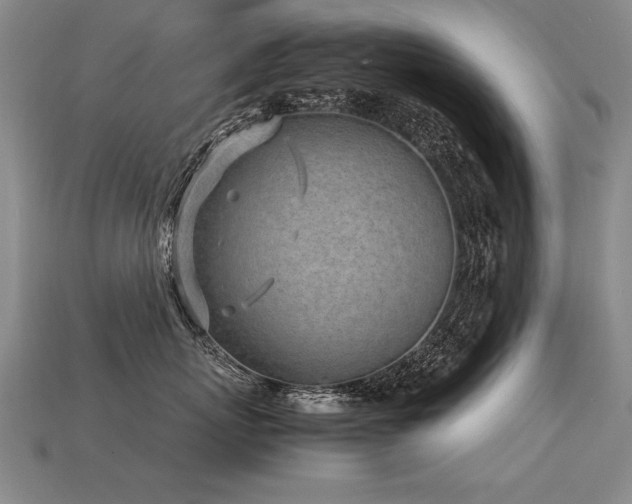 X0000113620767200909181439