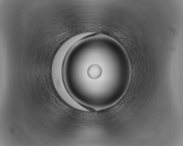 X0000113620768200909181439