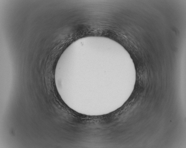 X0000113620769200909181439