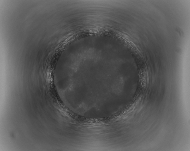 X0000113620770200909181439