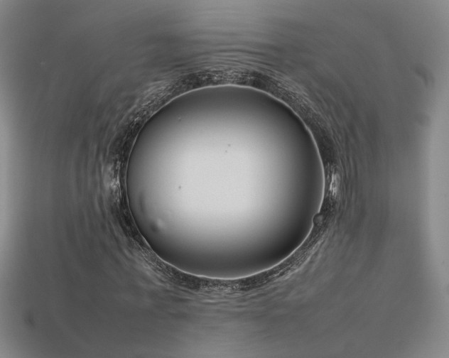 X0000113620771200909181439