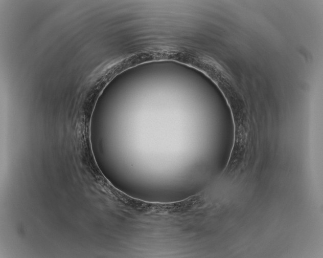 X0000113620773200909181439