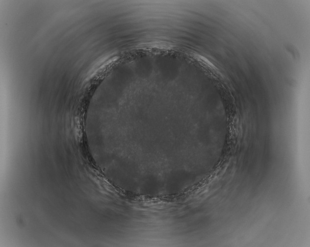 X0000113620774200909181438