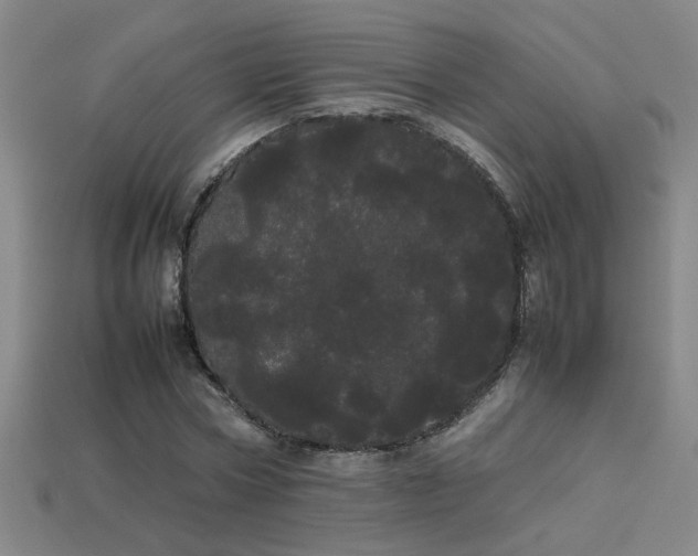 X0000113620778200909181438