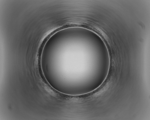 X0000113620779200909181438