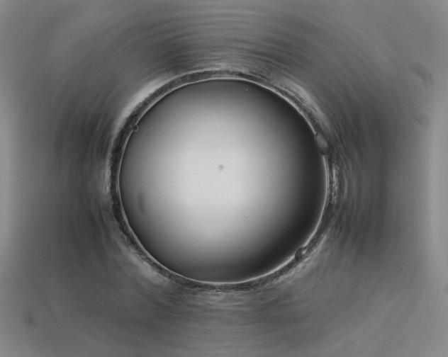 X0000113620780200909181438