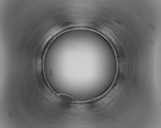 X0000113620781200909181438