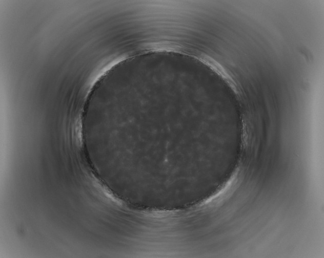 X0000113620782200909181438