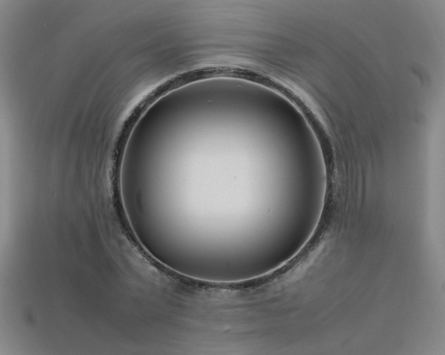 X0000113620783200909181438