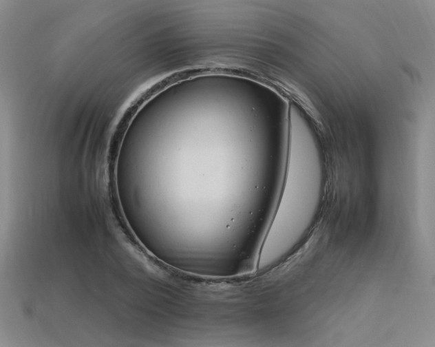 X0000113620784200909181438