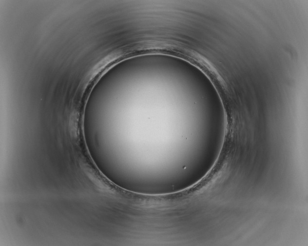 X0000113620786200909181438