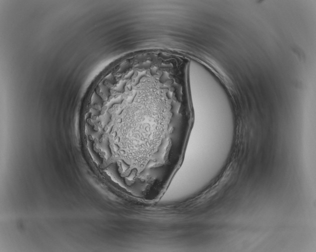 X0000113620788200909181438