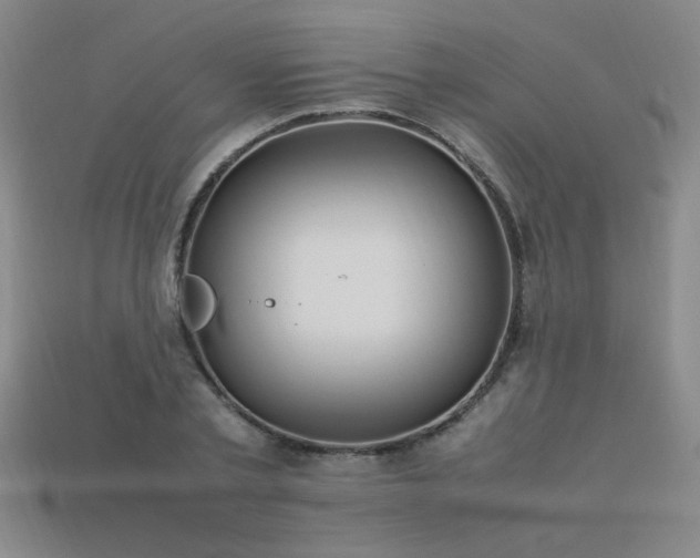 X0000113620789200909181438