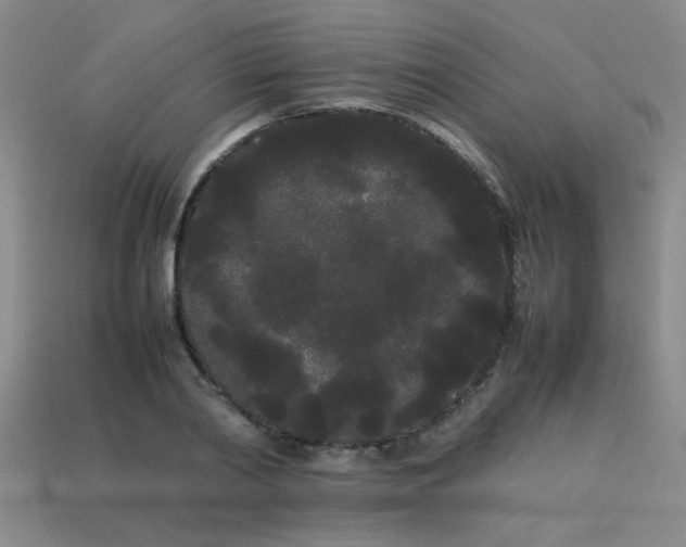 X0000113620790200909181438