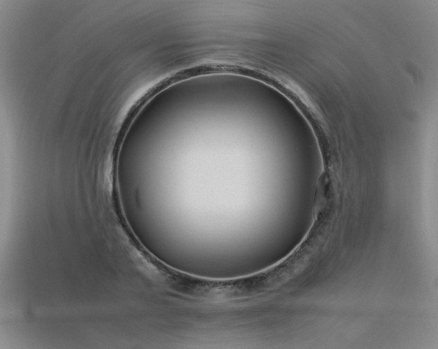 X0000113620791200909181438