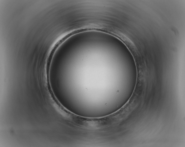 X0000113620792200909181438