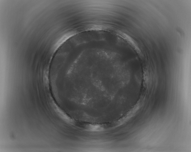 X0000113620794200909181438