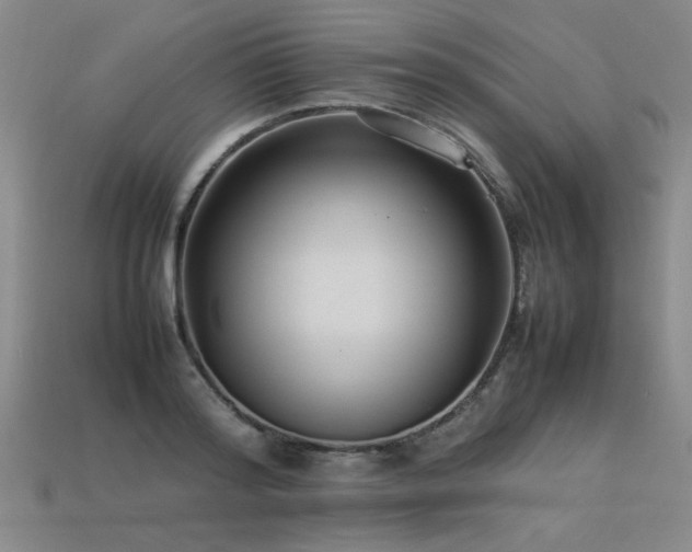 X0000113620796200909181438