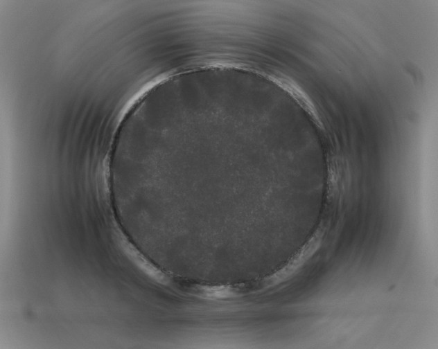 X0000113620798200909181438