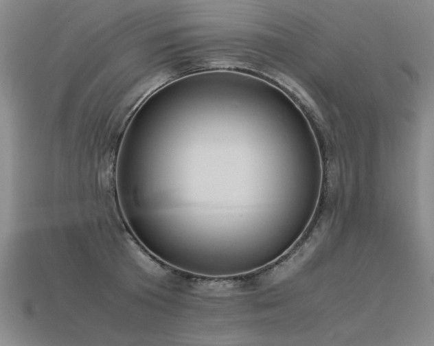 X0000113620801200909181438