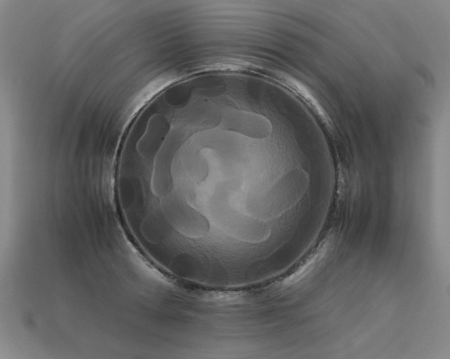 X0000113620802200909181438