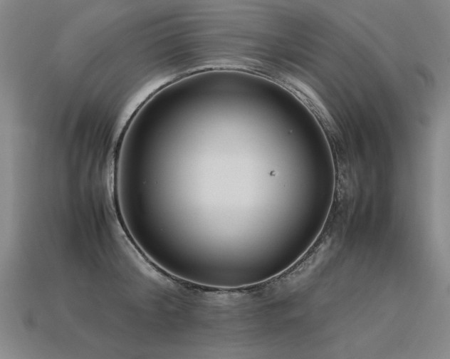 X0000113620804200909181438