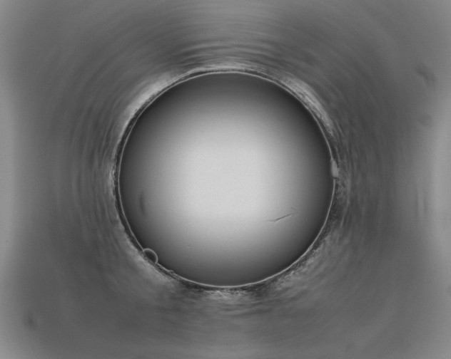 X0000113620805200909181438